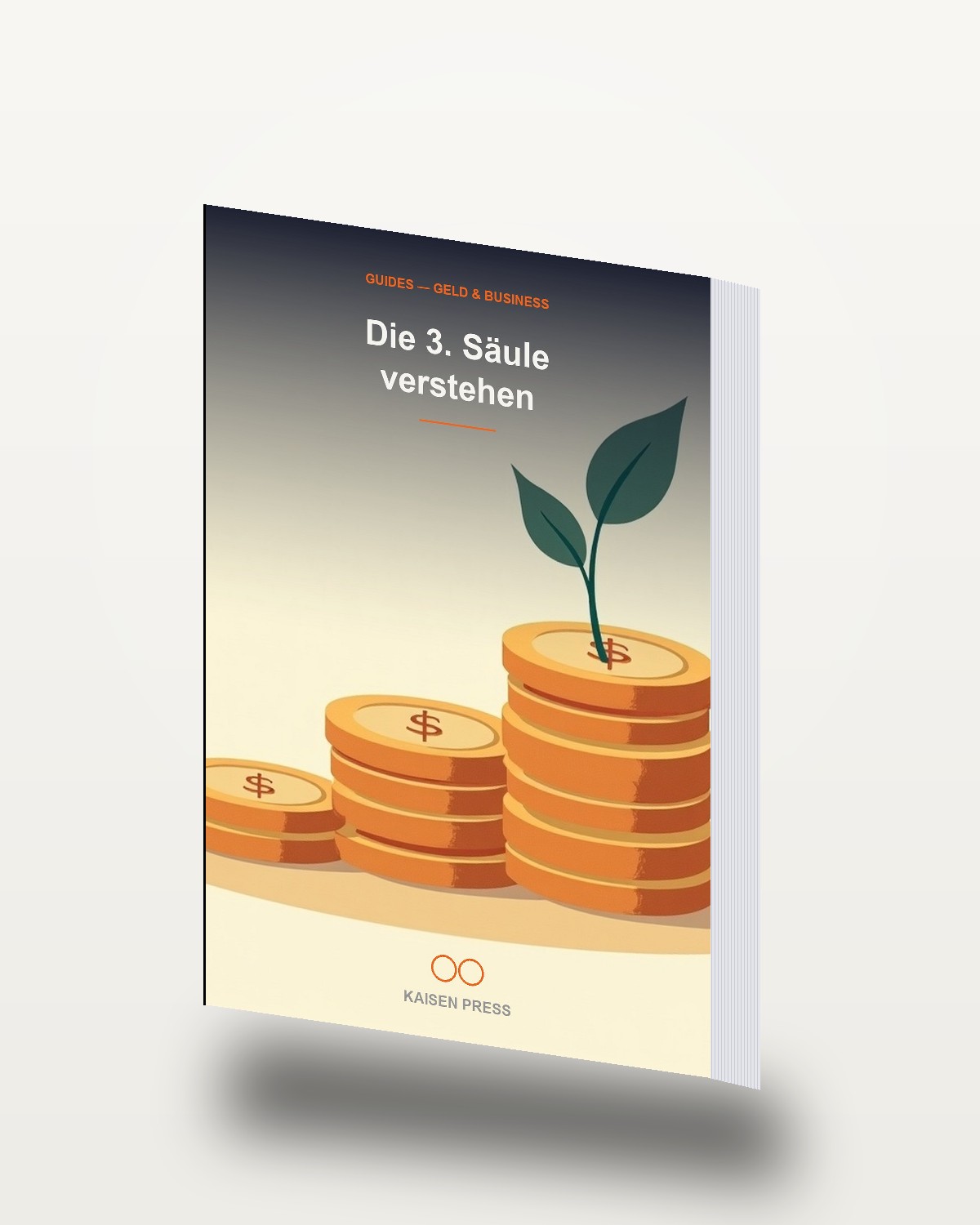 Die 3. Säule verstehen